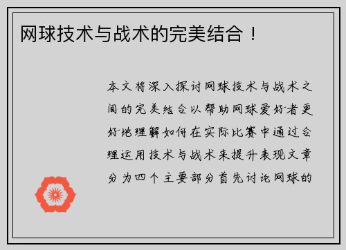 网球技术与战术的完美结合 !