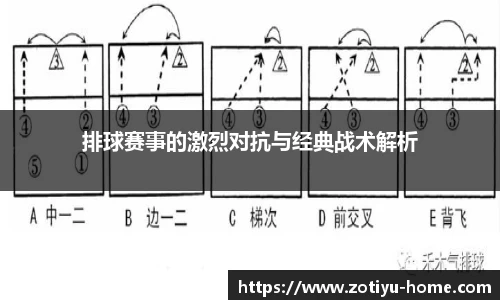 中欧体育app